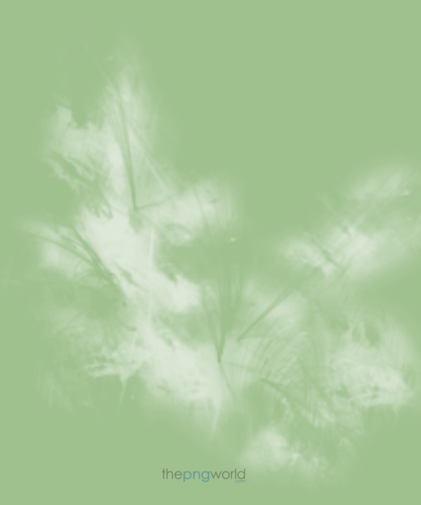 Green and White Background Background,image,picture,wallpaper,desktop,green,leaf,white,unique,vintage,abstract,art,vector,pattern,texture,royal,elegant,design,elegant